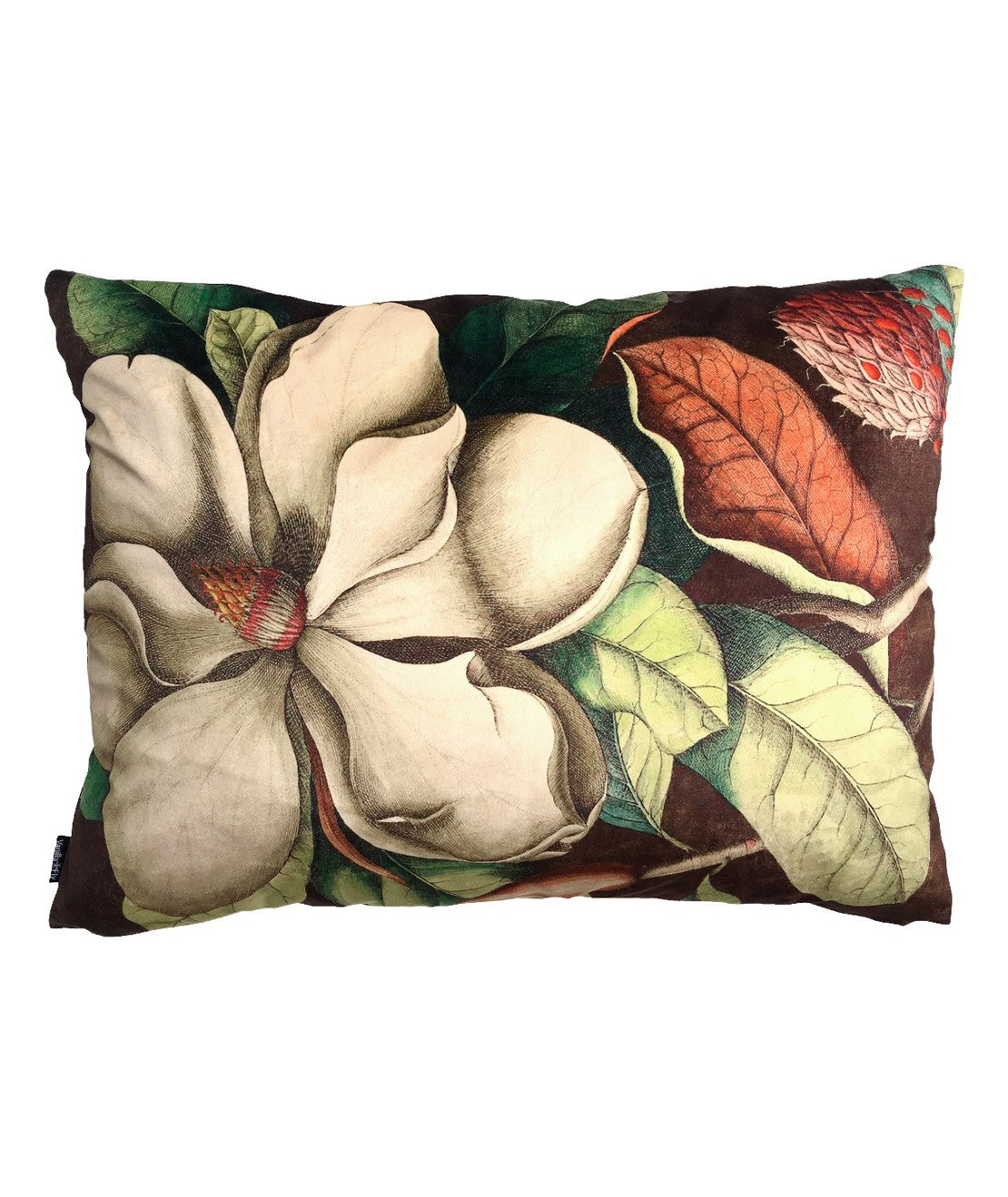 Vanilla Fly Velvet Cushions 70x50 Cuscino In Velluto White Magnolia