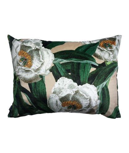 Vanilla Fly Velvet Cushions 70x50 Cuscino In Velluto Treepeony