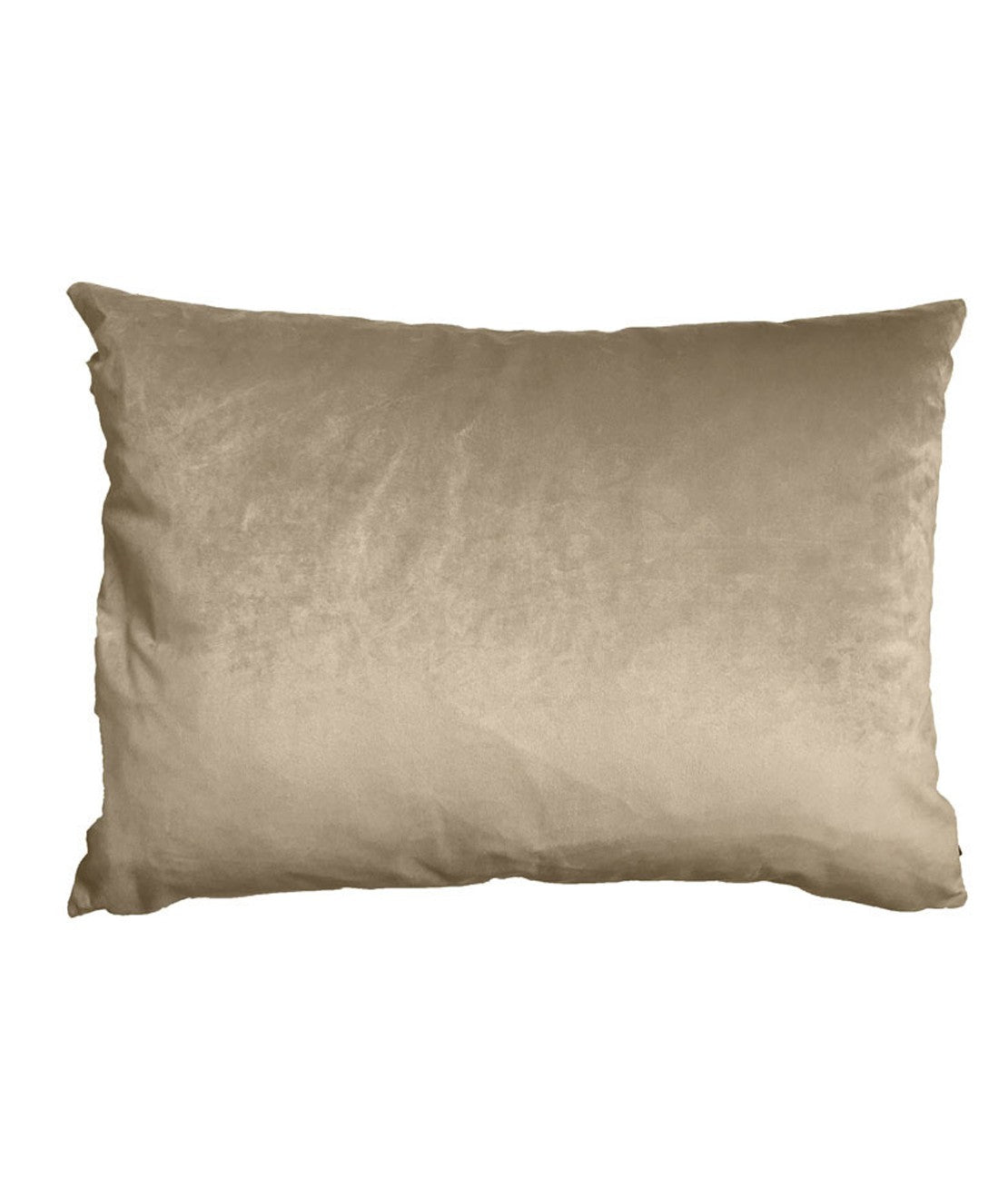 Vanilla Fly Velvet Cushions 70x50 Cuscino In Velluto