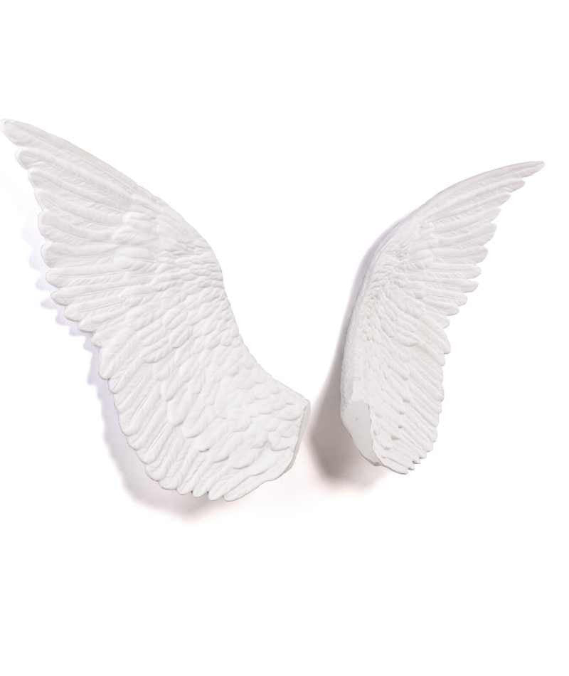 Seletti Memorabilia Mvsevm Wings Coppia di Ali