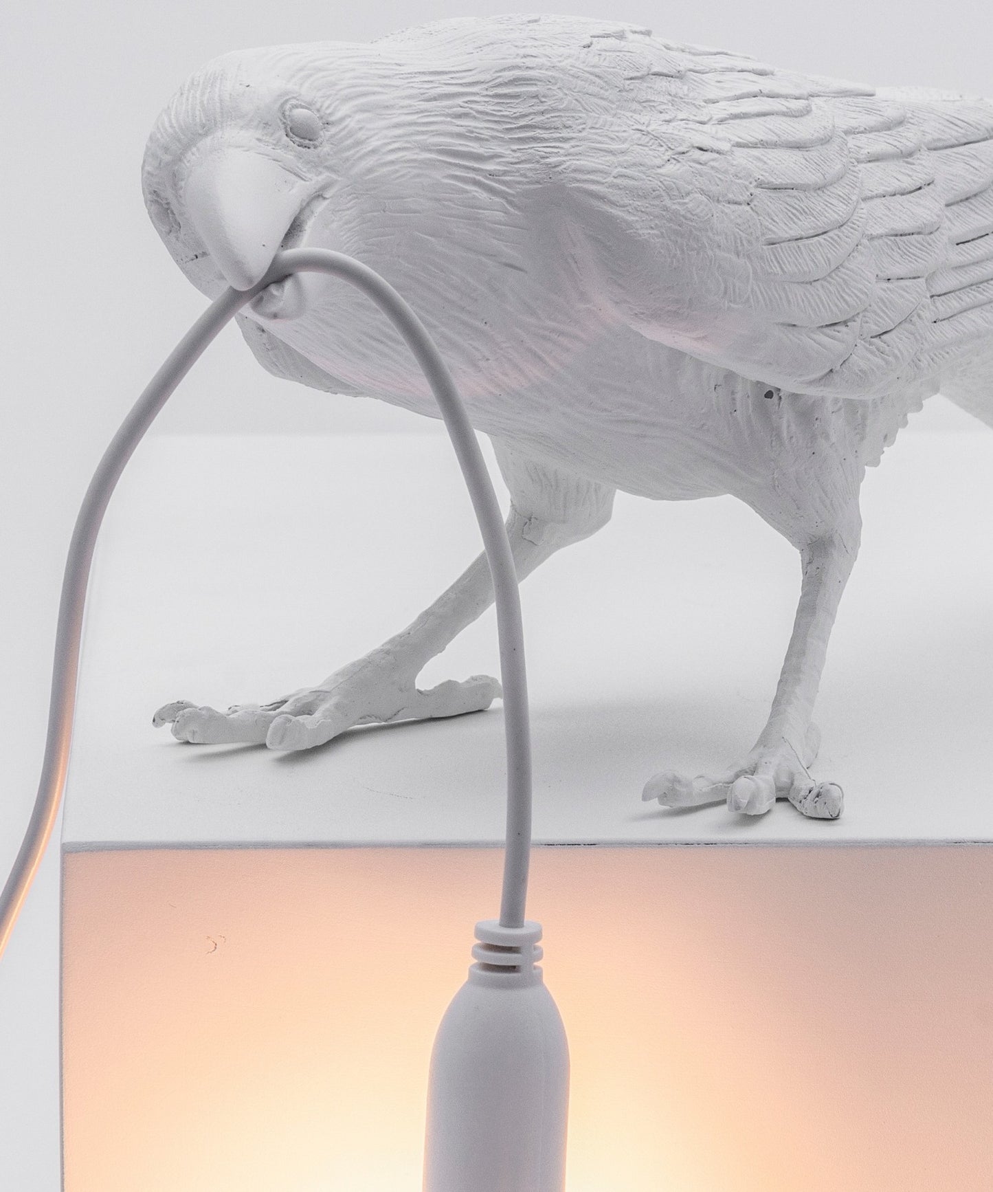 Seletti Bird Lamp Playing Lampada da appoggio Corvo outdoor