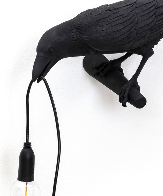 Seletti Bird Lamp Looking Lampada da parete left outdoor