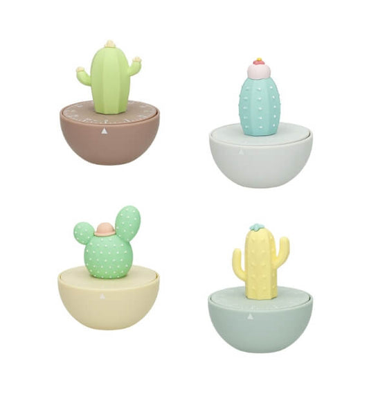 Brandani Ekol Timer Cactus Colori Assortiti