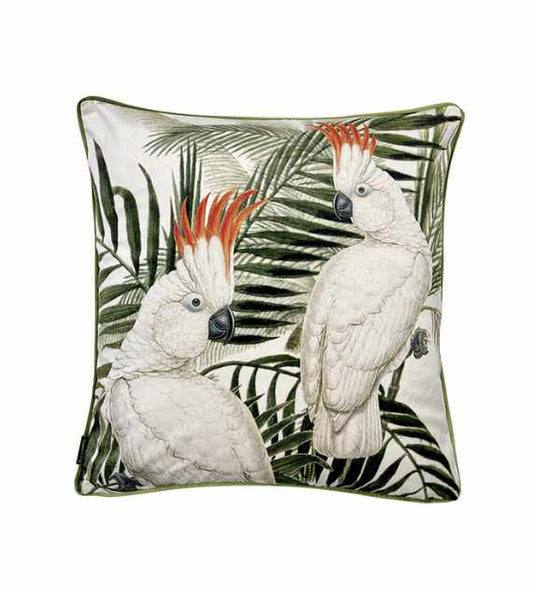 Vanilla Fly Velvet Cushions 50x50 Cuscino In Velluto Jungle