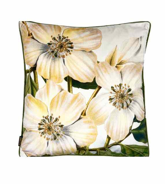 Vanilla Fly Velvet Cushions 50x50 Cuscino In Velluto Coral Peony